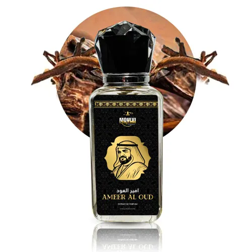 Thumbnail for AMEER AL OUD - Image 1