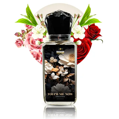 Thumbnail for TOUCH ME NOW - Image 1